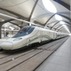 A Talgo trainset in one of the stations